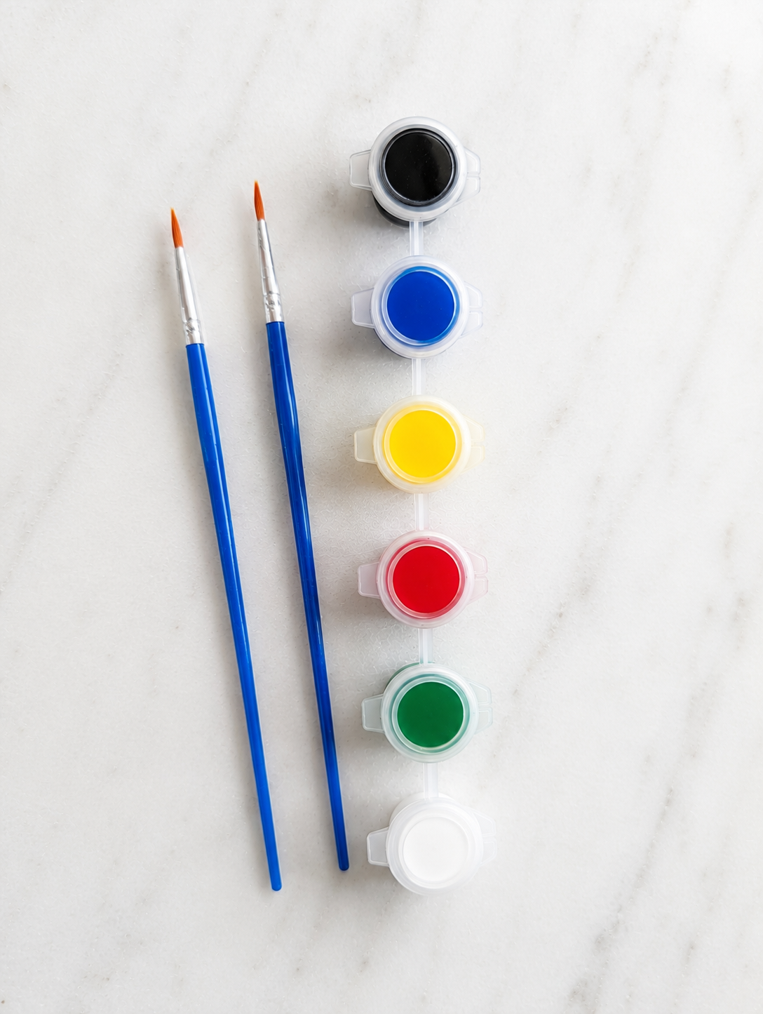 6-Color Acrylic Paint Set with 2 Detail Brushes